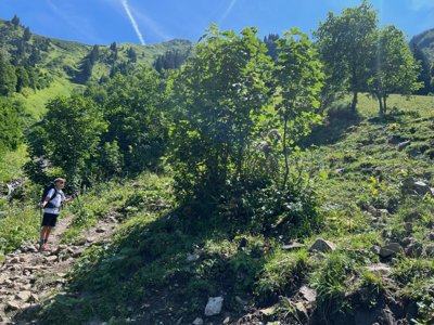 Reisefoto