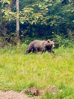 Reisefoto
