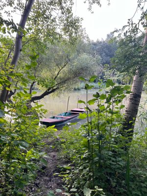 Reisefoto