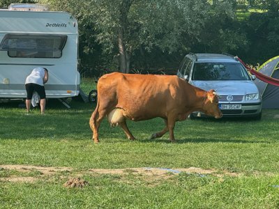 Reisefoto