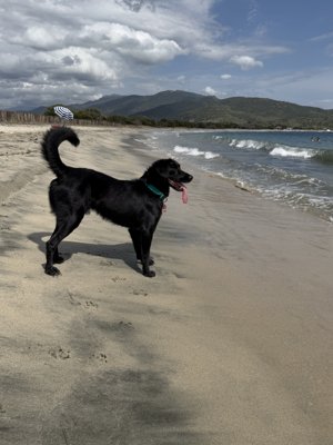 Reisefoto